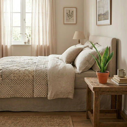 Snake Plant Table Plant – Sansevieria trifasciata