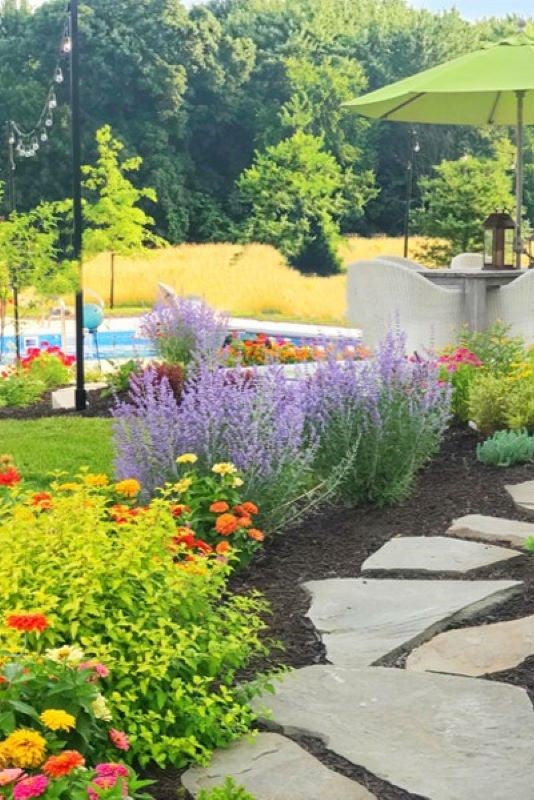 Outdoor Plants